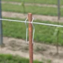 Vineyard Hooks 