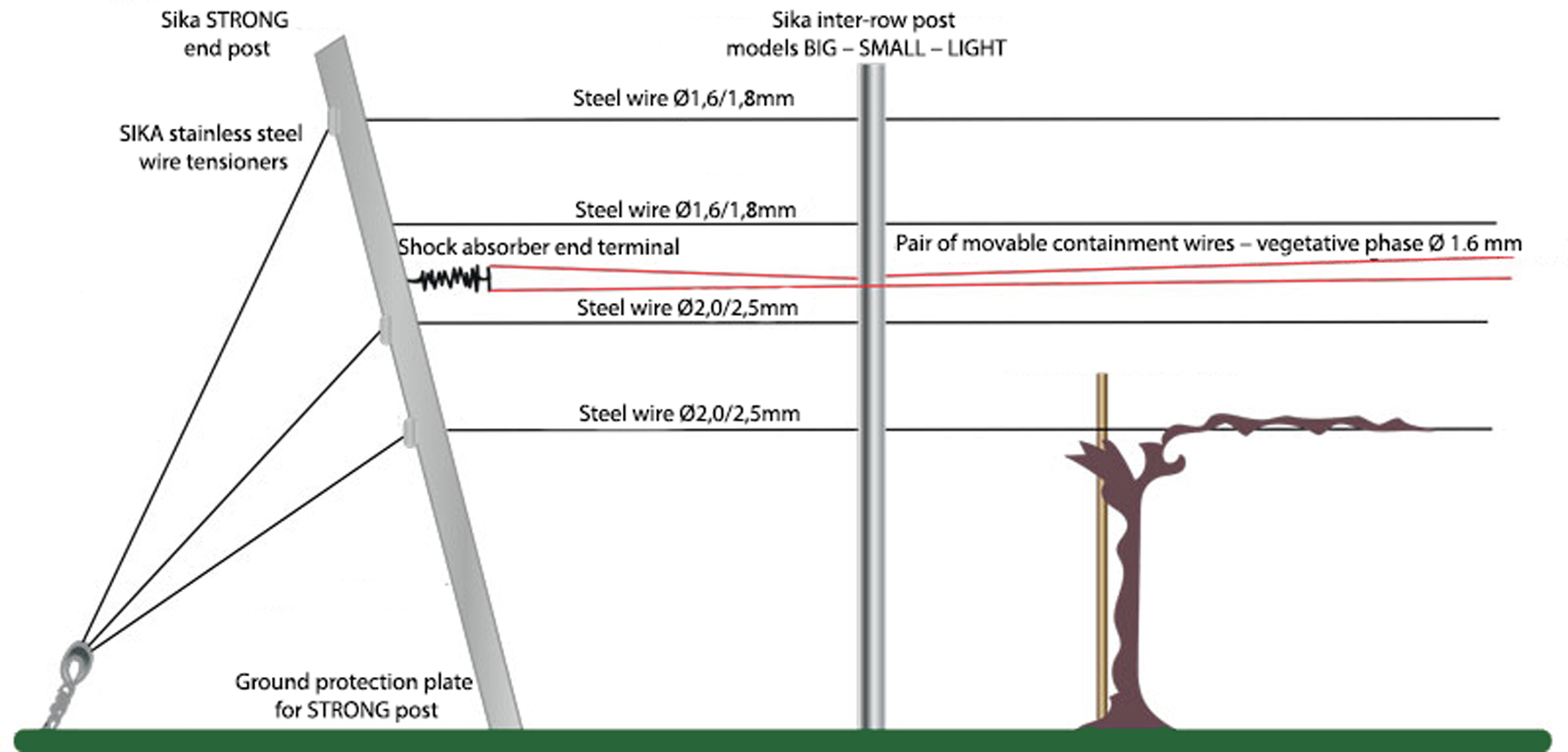 Guyot training system trellis design with wire height specifications and vertical shoot positioning