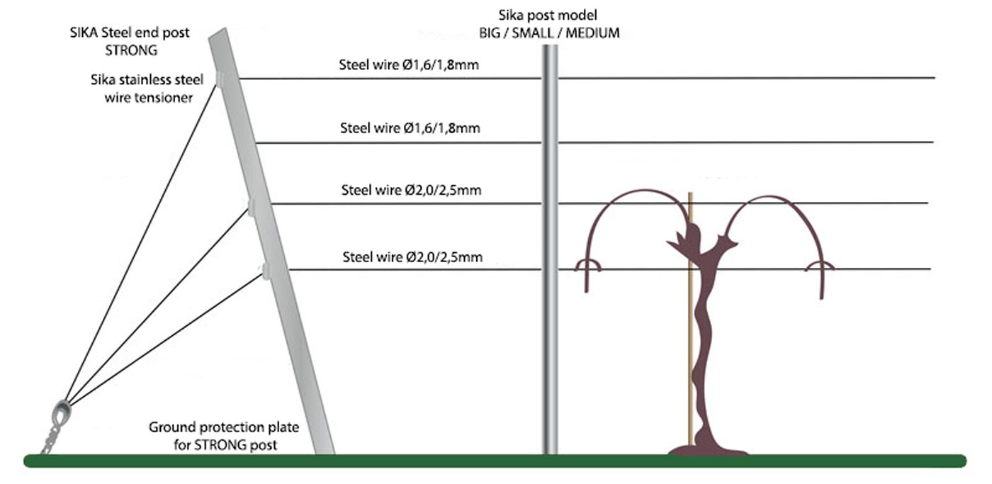 Vineyard trellis design with steel posts, wire system and optimized spacing between rows and vines