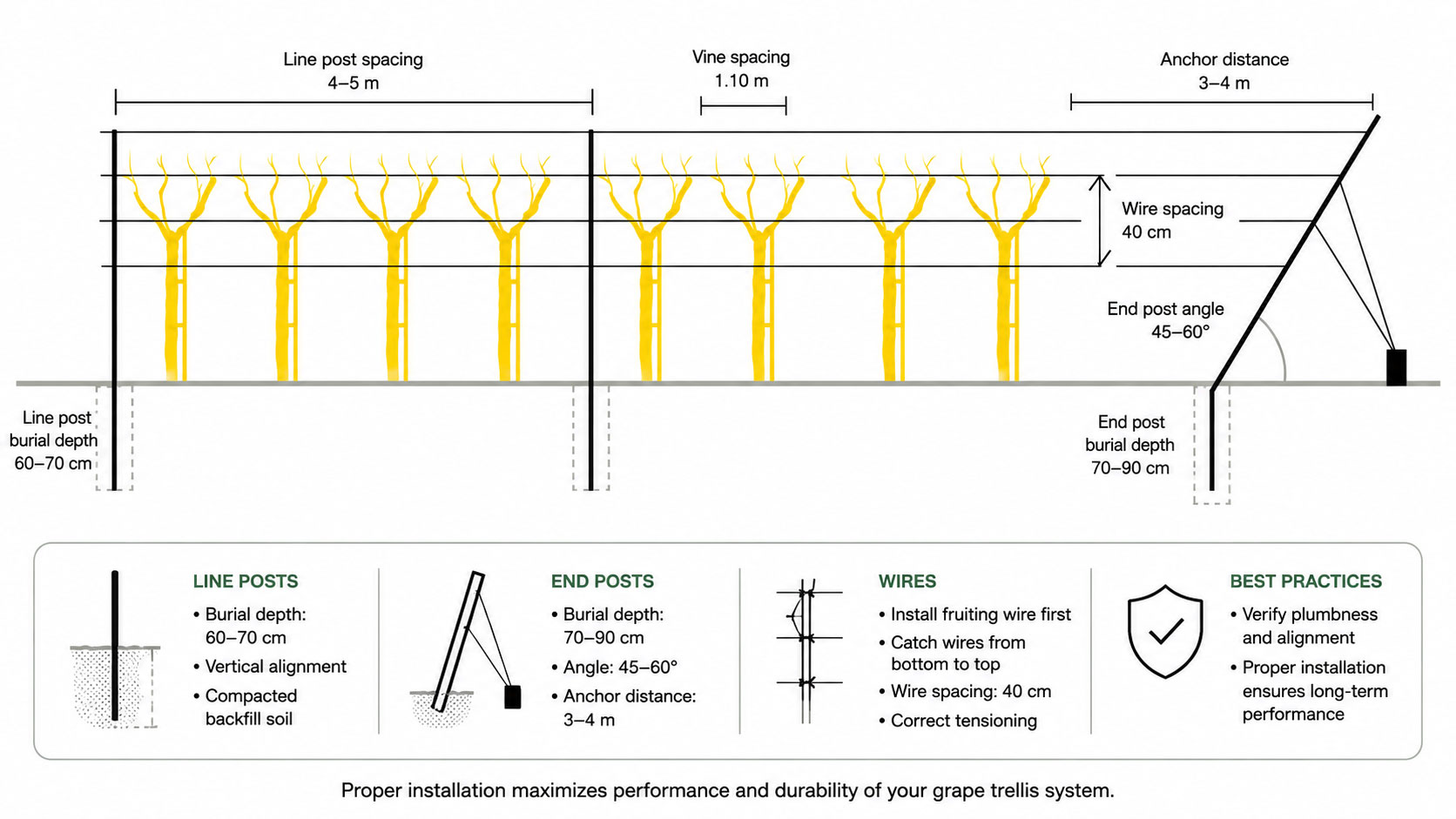 Grape trellis system installation diagram with post depth, wire spacing and end post angle