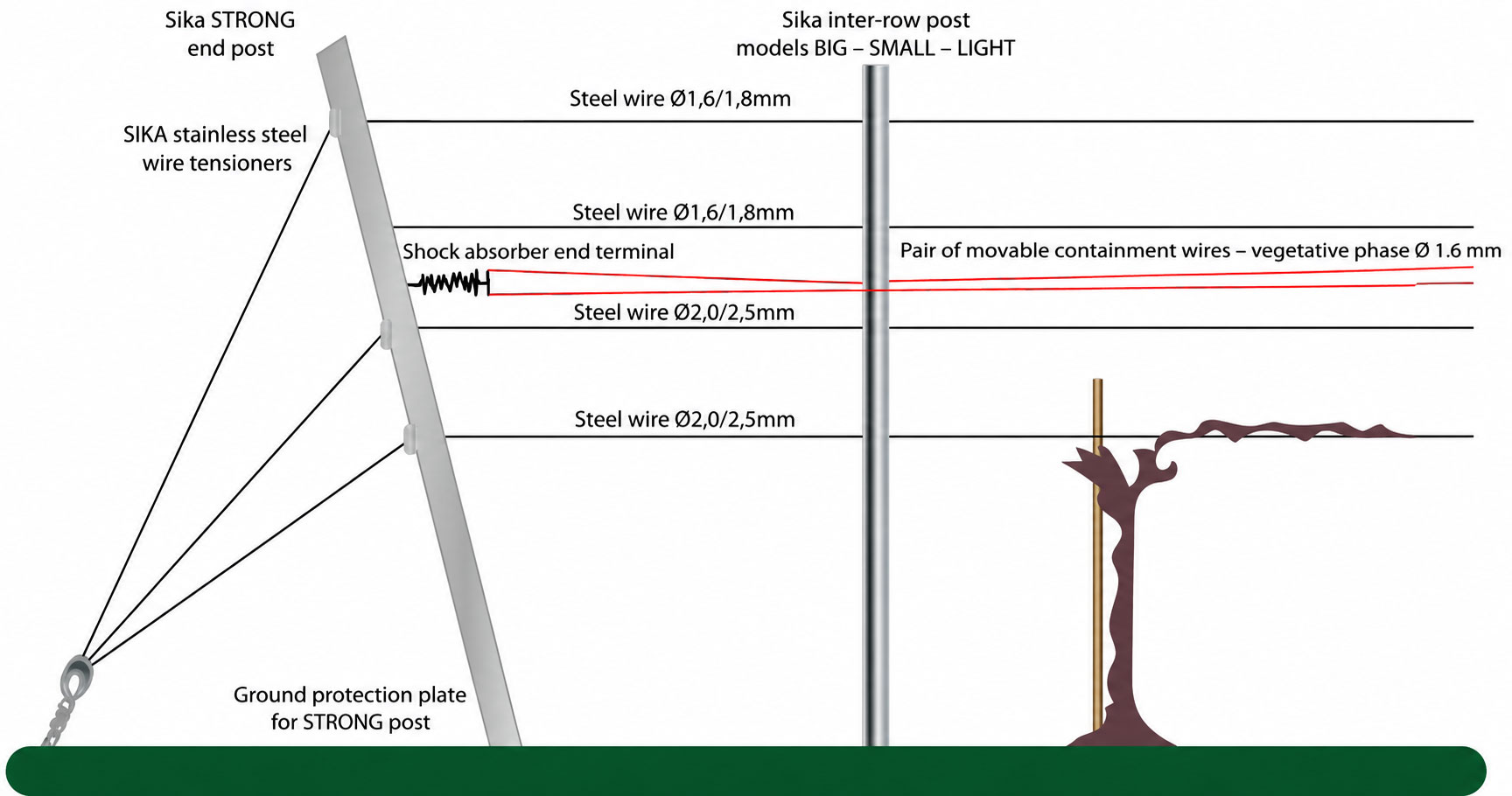 Guyot vine training system structure showing end post, inter-row post, steel wires and vertical shoot positioning
