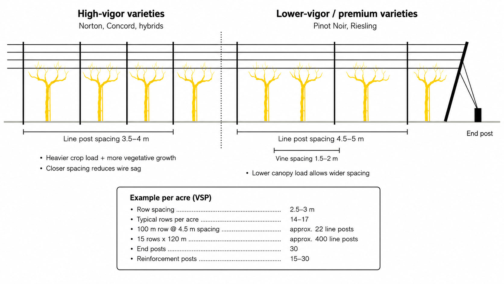 Diagram showing recommended vineyard post spacing, vine spacing, and end post angle for a grape trellis system.