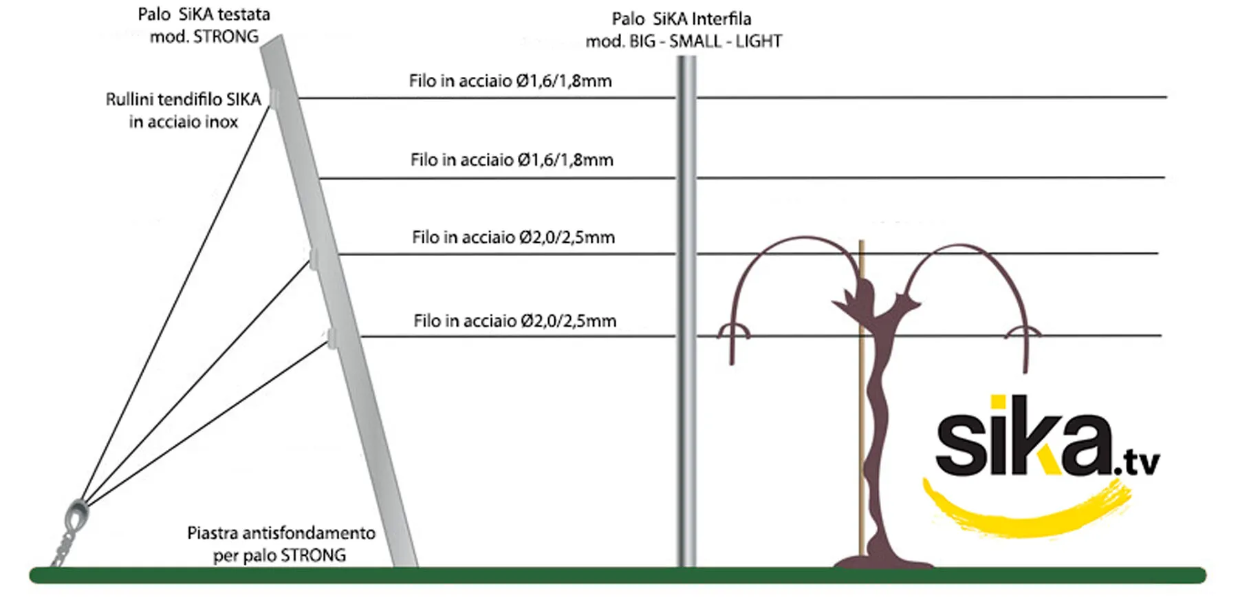 Double inverted Guyot vineyard system