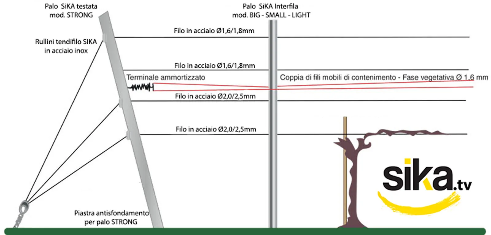 Design of Guyot vineyard trellis system