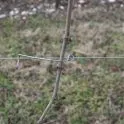 Stainless steel vineyard ties Sika