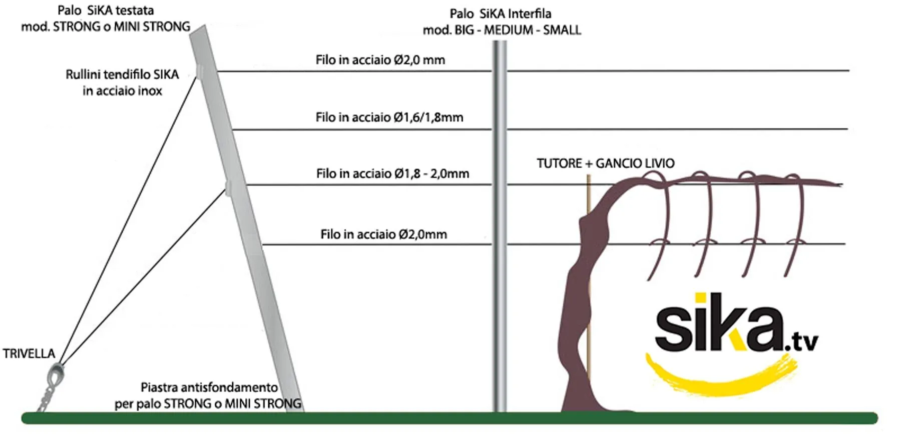 Sylvoz grapevine trellis system