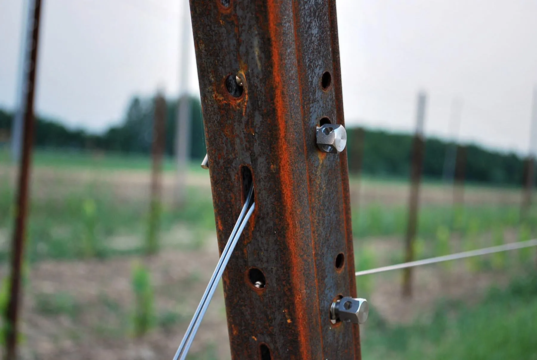 Corten steel vineyard post with support wires for maximum post spacing