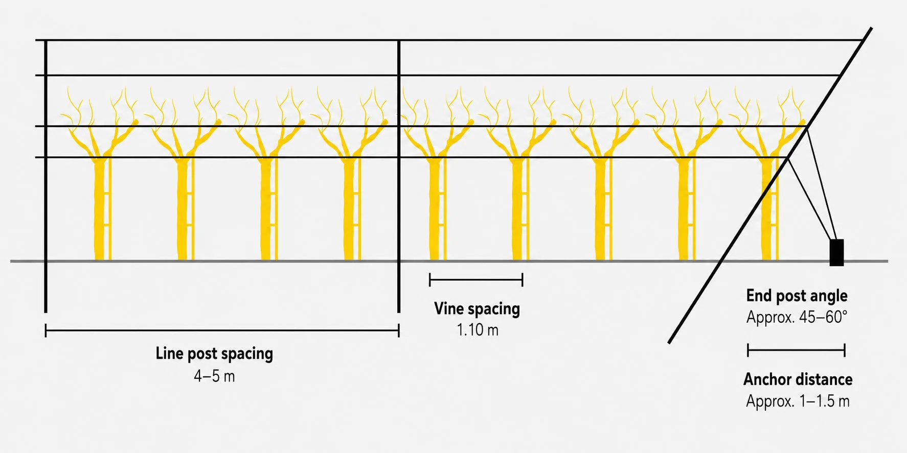 Vineyard post spacing diagram with line post spacing, vine spacing and end post angle