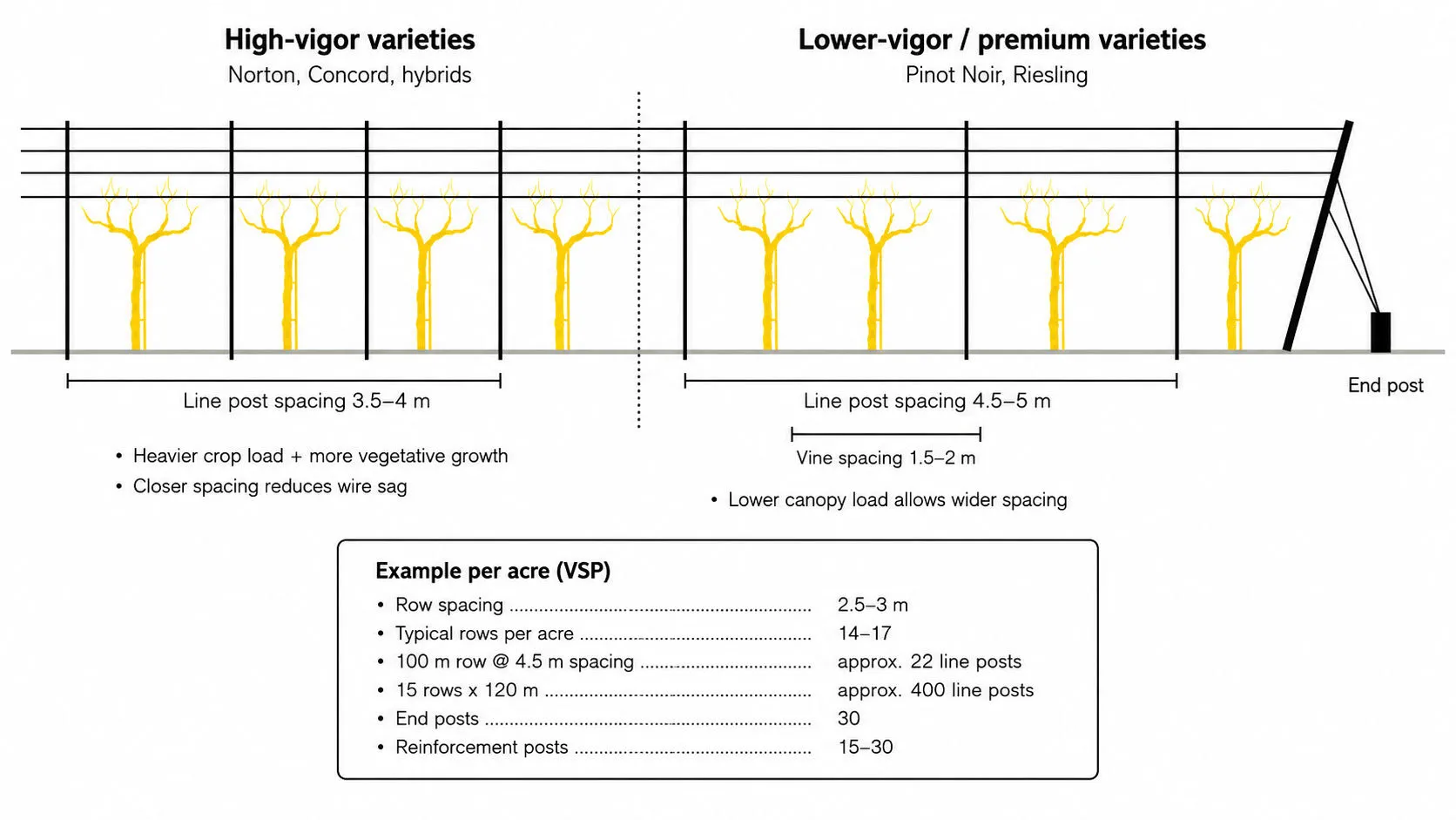 Diagram showing recommended vineyard post spacing, vine spacing, and end post angle for a grape trellis system.