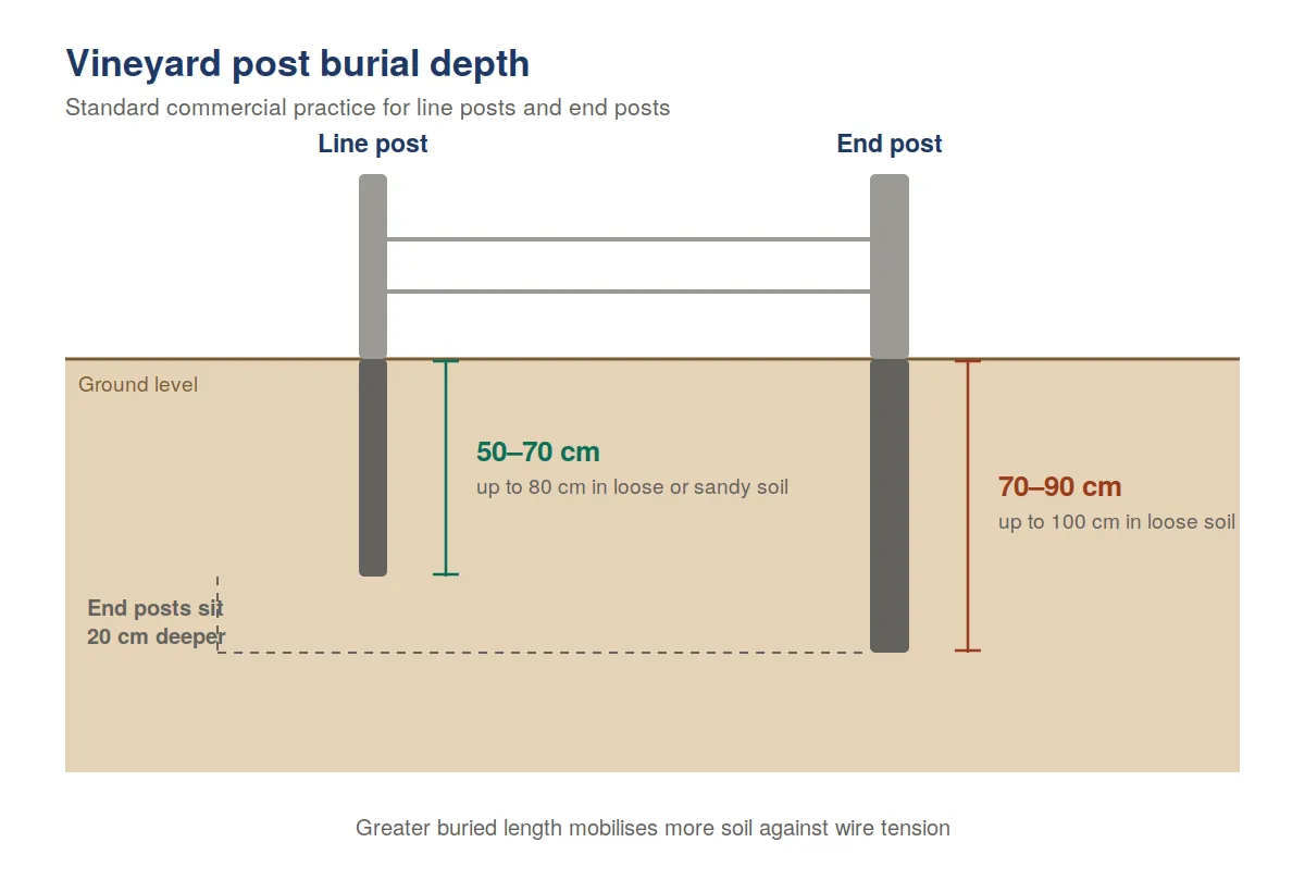 Vineyard post burial depth: line posts 50–70 cm, end posts 70–90 cm below ground